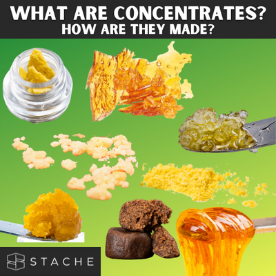 What are Concentrates? How are They Made?