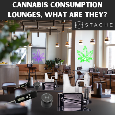 Cannabis Consumption Lounges, What are They?