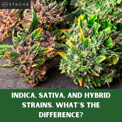 Indica, Sativa, and Hybrid Strains. What's the Difference?