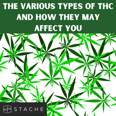 The Various Types of THC and How They May Affect You