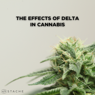 Navigating the Effects of Delta in the Cannabis Industry