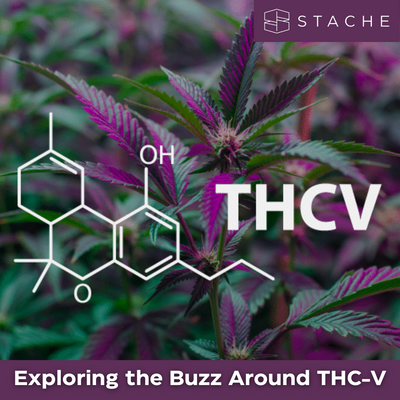 Exploring the Buzz Around THC-V